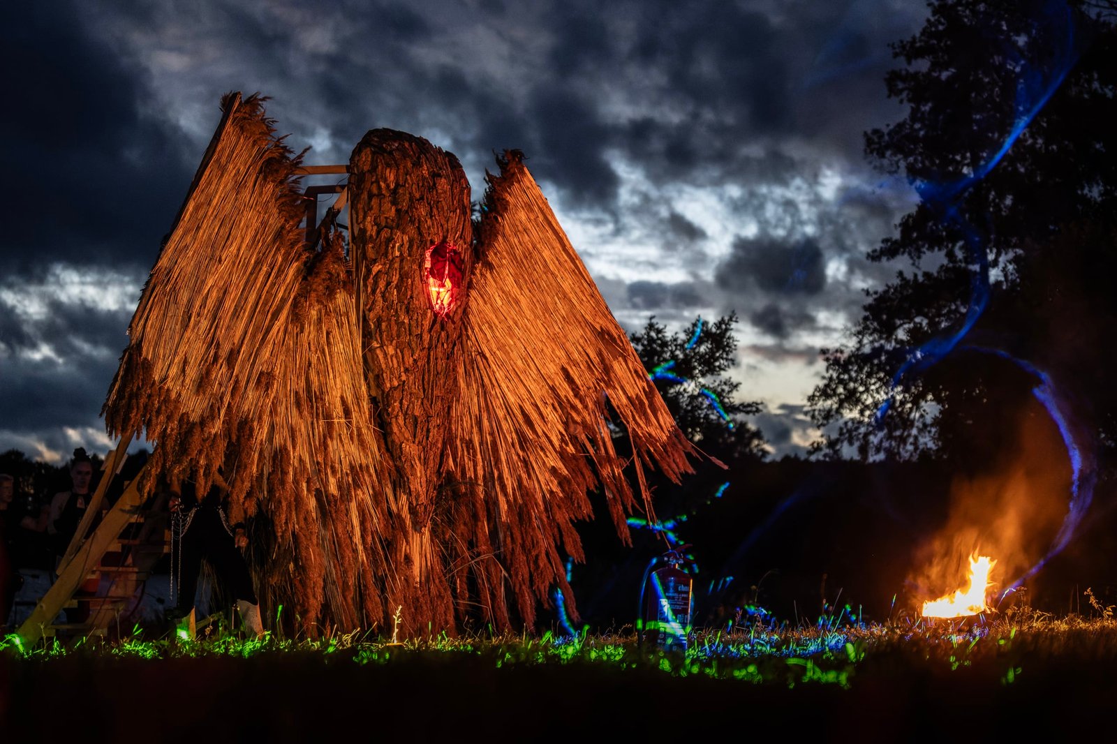 Wings of Becoming, photo by Imantas Pakalnis